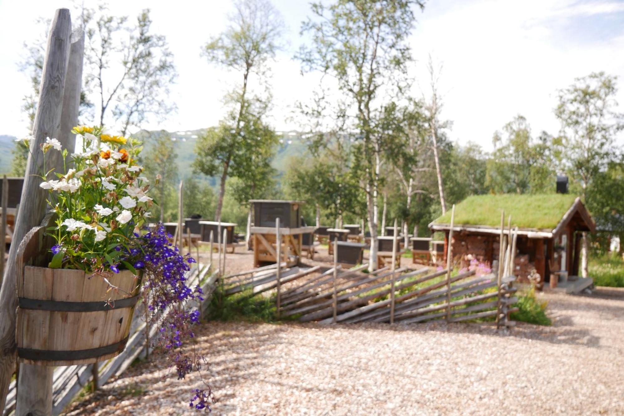 Bardu Huskylodge Eksteriør billede