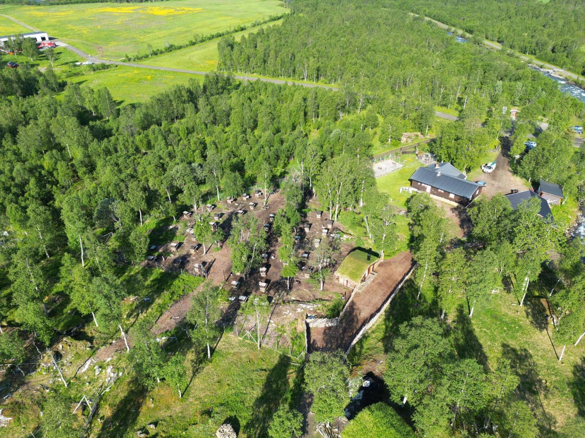 Bardu Huskylodge Eksteriør billede