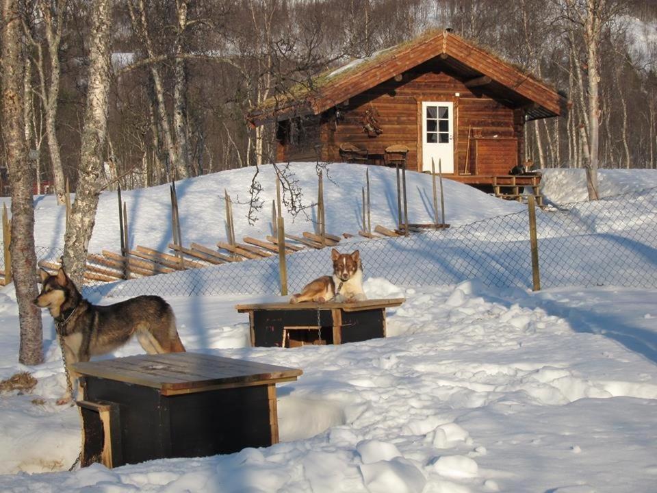 Bardu Huskylodge Eksteriør billede