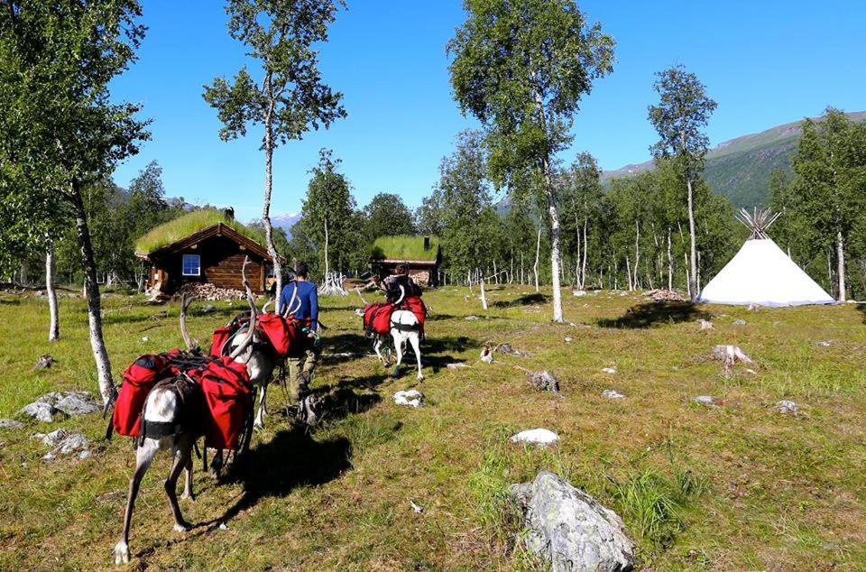 Bardu Huskylodge Eksteriør billede