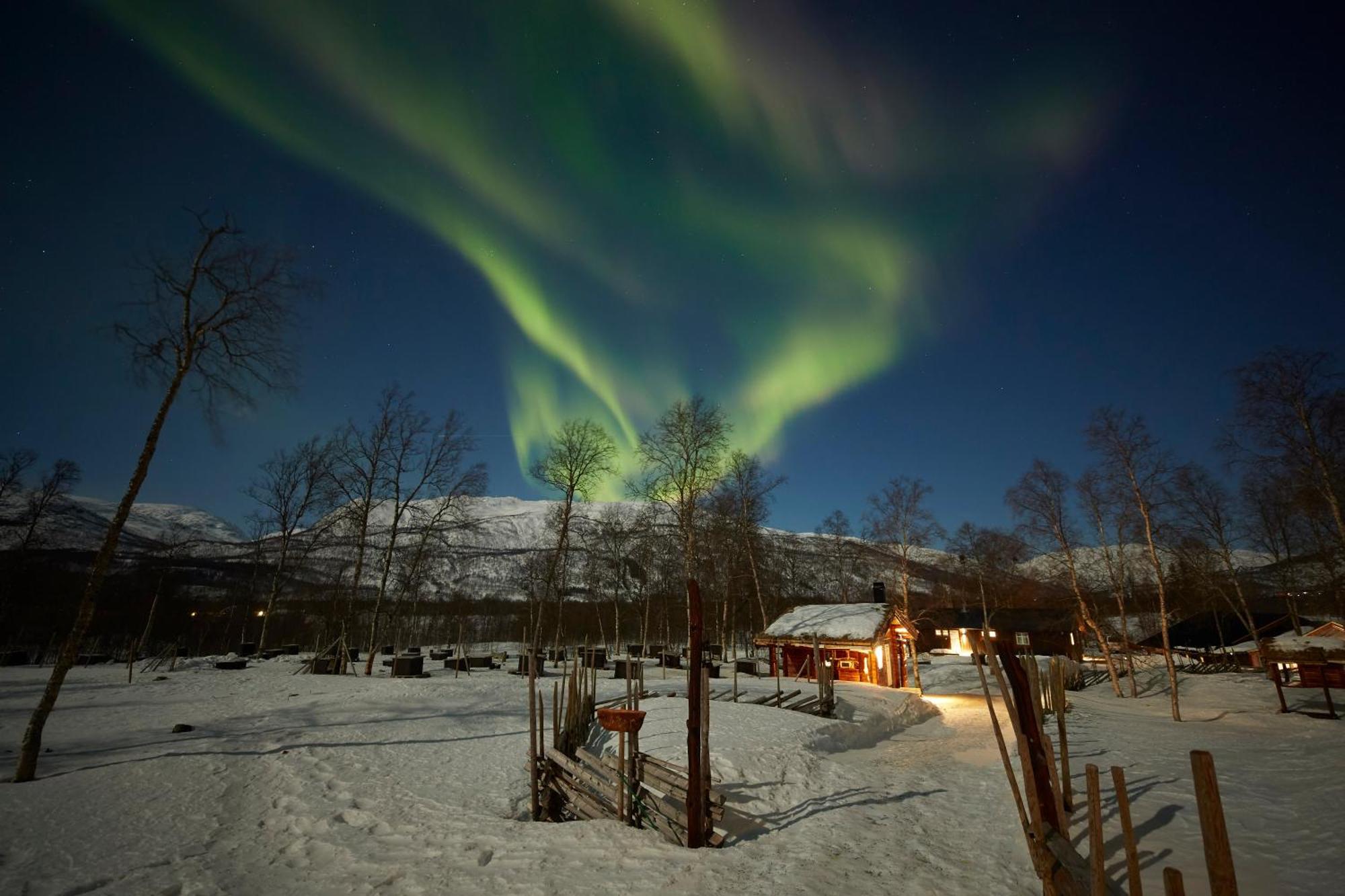 Bardu Huskylodge Eksteriør billede