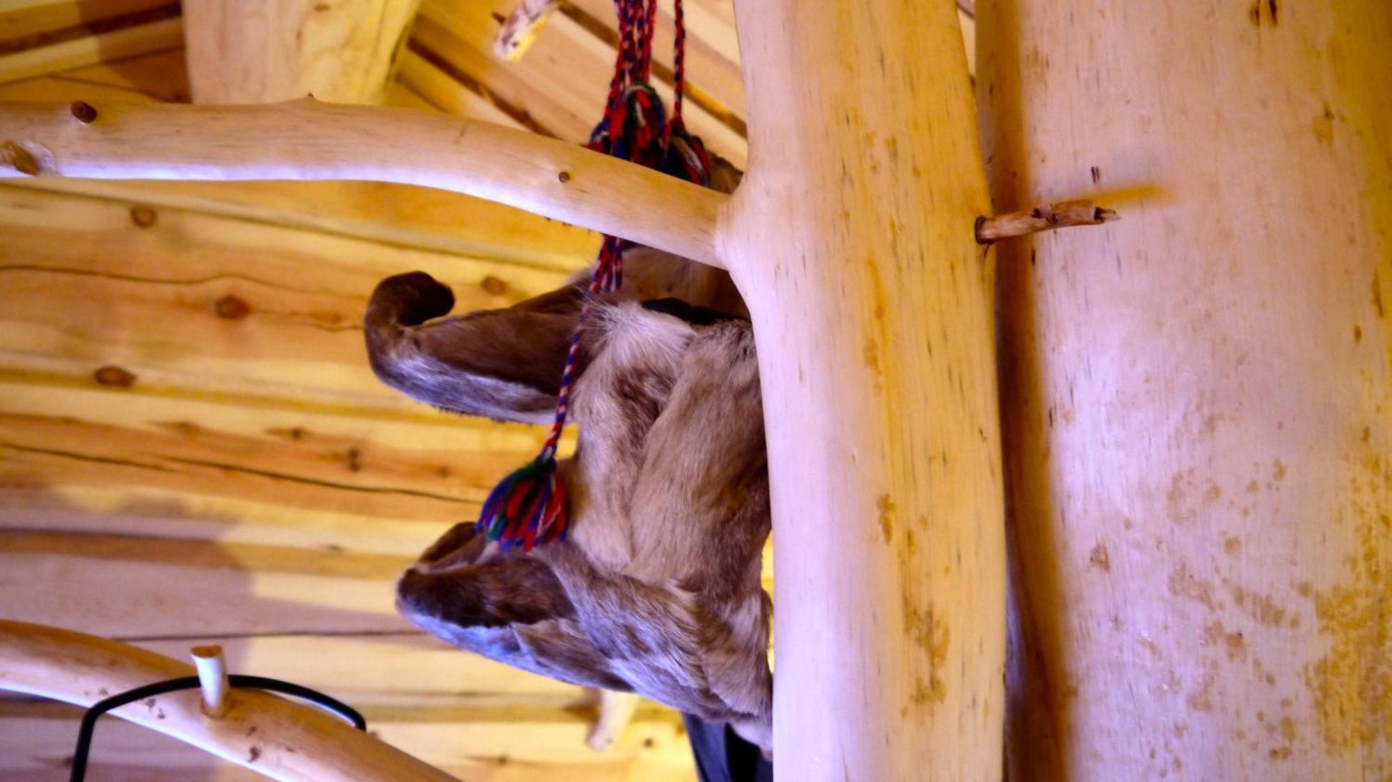Bardu Huskylodge Eksteriør billede