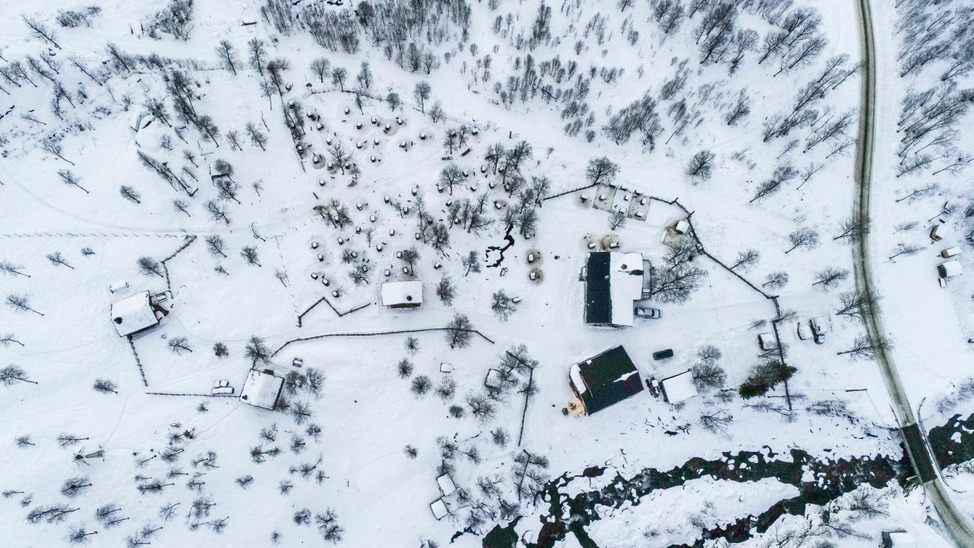 Bardu Huskylodge Eksteriør billede
