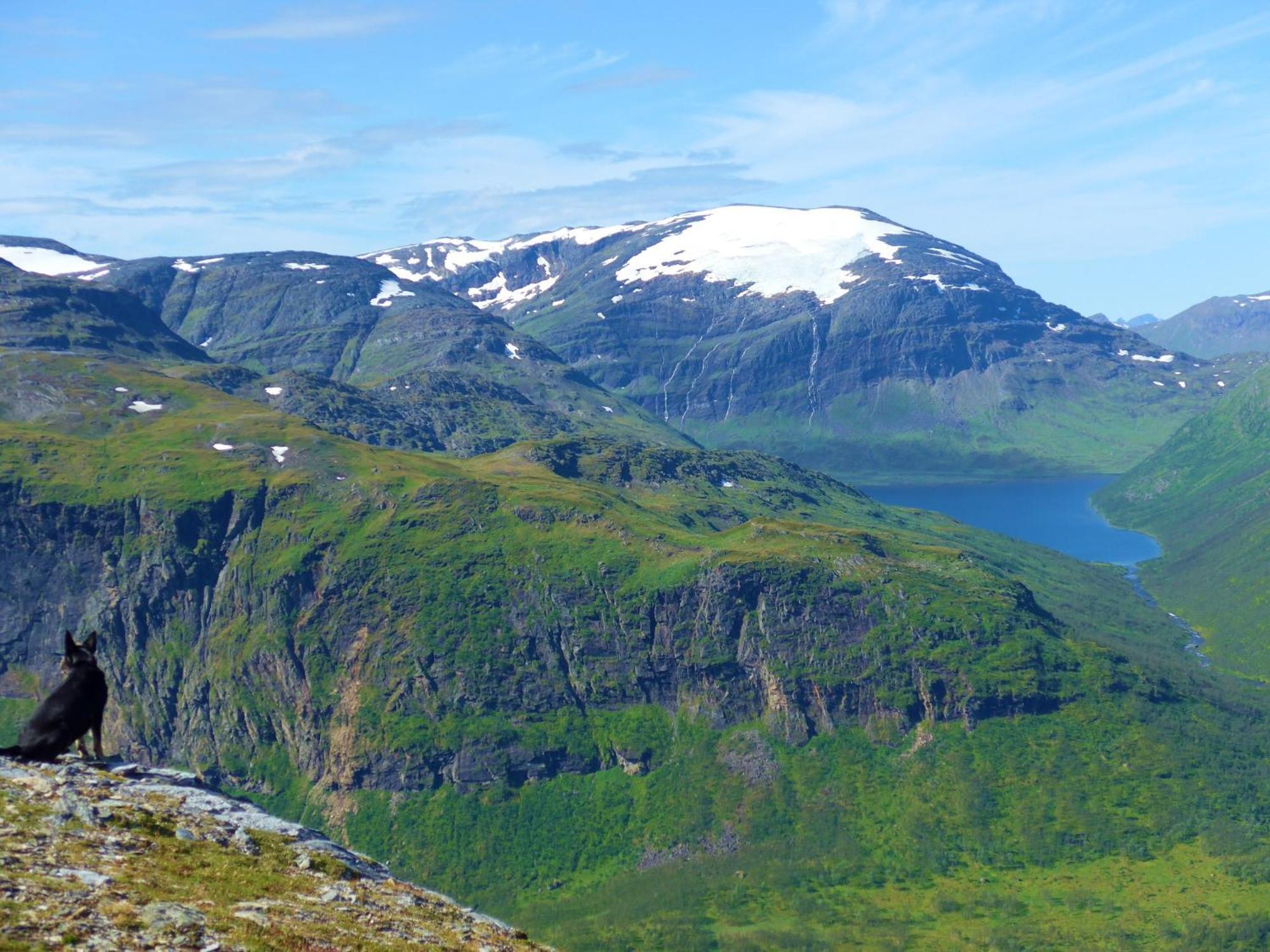 Bardu Huskylodge Eksteriør billede